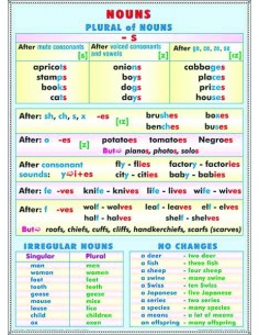 Past Perfect - Perfect Continuous / Nouns - Plural 2