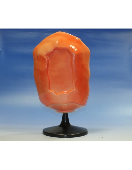 Model celula animala