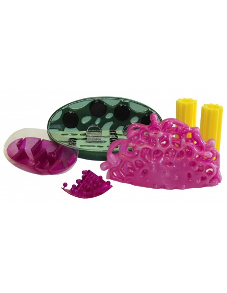 Model componenta celulei