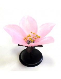 Floare de piersic 2