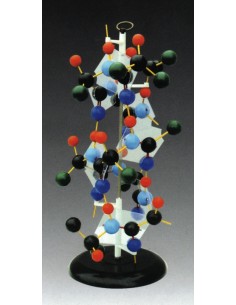 Structura proteinelor