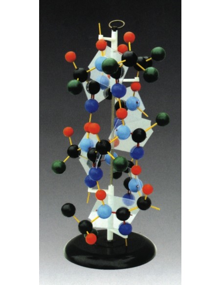 Structura proteinelor