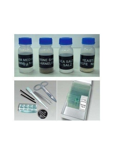 Microscop digital cu ecran LCD