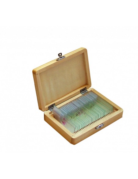 Set 38 preparate pentru microscop BOTANICA Set 38 preparate pentru microscop BOTANICA