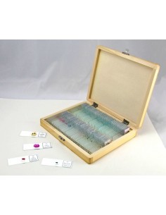 Set 100 preparate pentru microscop BIOLOGIE GENERALA