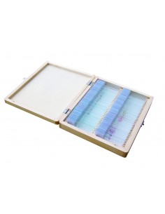 Set 100 preparate pentru microscop BIOLOGIE GENERALA 2