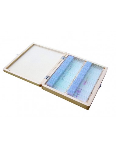 Set 100 preparate pentru microscop BIOLOGIE GENERALA
