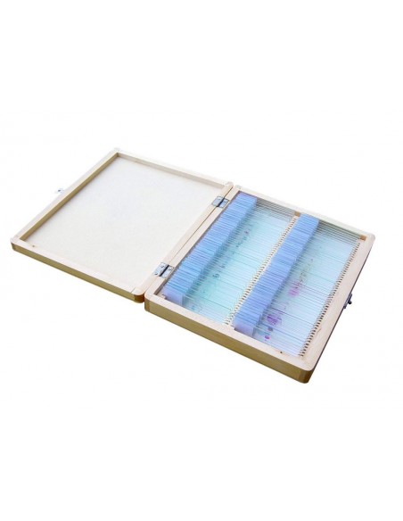 Set 100 preparate pentru microscop BIOLOGIE GENERALA Set 100 preparate pentru microscop BIOLOGIE GENERALA