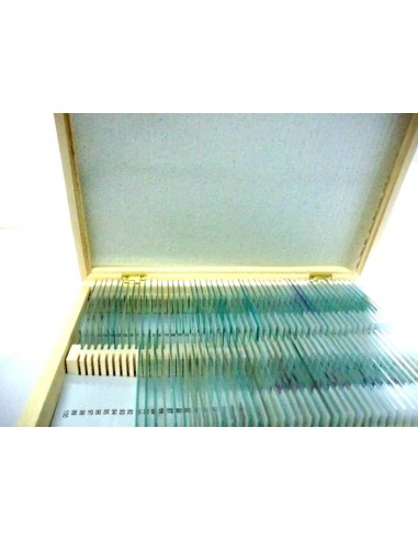 Set 100 preparate pentru microscop BIOLOGIE GENERALA