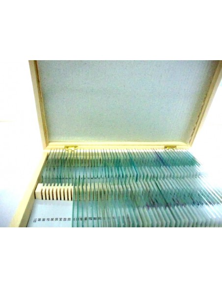 Set 100 preparate pentru microscop BIOLOGIE GENERALA Set 100 preparate pentru microscop BIOLOGIE GENERALA