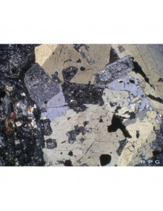 Roci II. 2