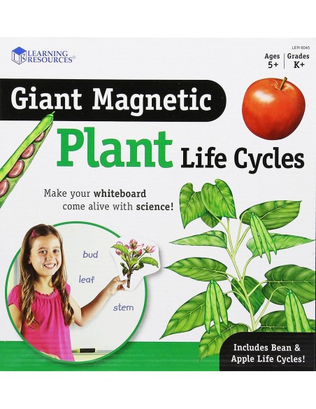 Ciclul vietii la plante Ciclul vietii la plante
