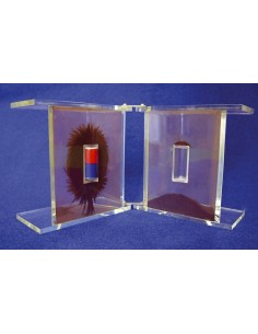Dispozitiv pentru spectrul magnetic tridimensional 2