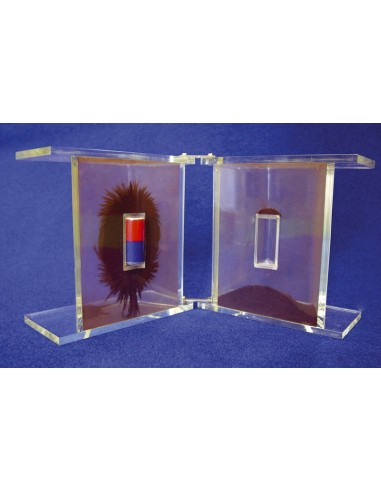 Dispozitiv pentru spectrul magnetic tridimensional