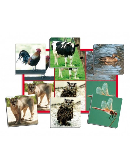 Joc loto cu 72 de animale Joc loto cu 72 de animale