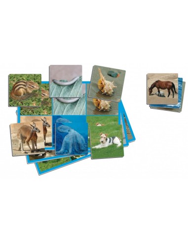 Joc loto cu 72 de animale