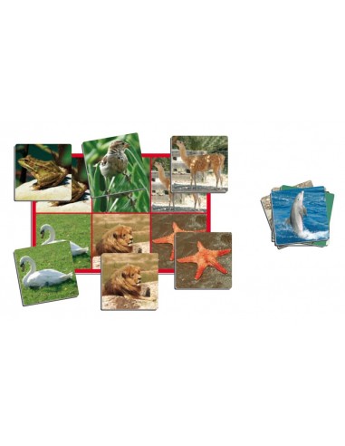 Joc loto cu 72 de animale