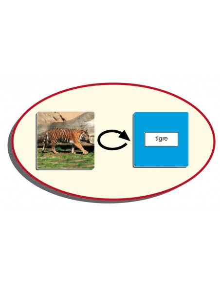 Joc loto cu 72 de animale Joc loto cu 72 de animale