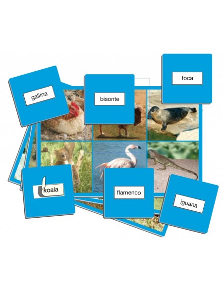 Joc loto cu 72 de animale Joc loto cu 72 de animale