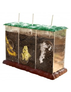 Compostarea deseurilor