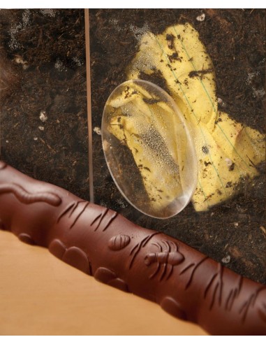 Compostarea deseurilor