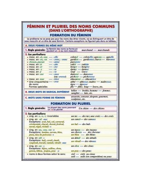 Femenin et pluriel des noms communs (dans l'ortographe) Formation du femenin. Formation du pluriel./L'article partitif. Omissii