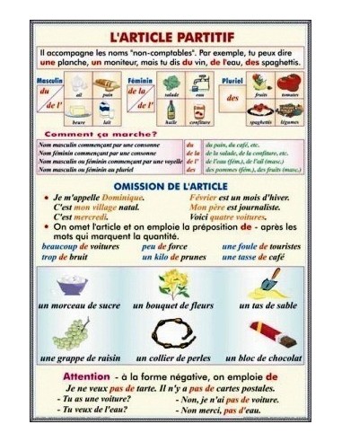 Femenin et pluriel des noms communs (dans l'ortographe) Formation du femenin. Formation du pluriel./L'article partitif. Omissii