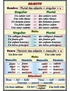 Noms de nombre. Les nombres cardinaux. Les nombres ordinaux. Le fractions/Adjectif. Nombre. Genre. 2