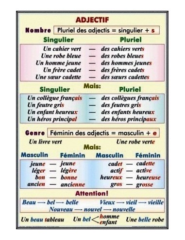 Noms de nombre. Les nombres cardinaux. Les nombres ordinaux. Le fractions/Adjectif. Nombre. Genre.
