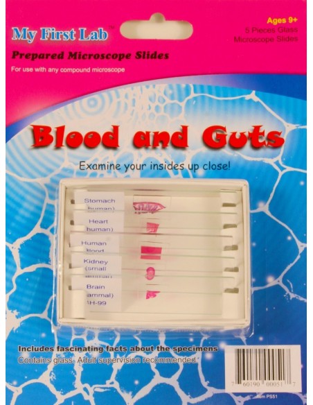 5 Lame cu preparate pentru microscop