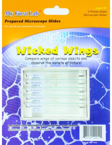 5 Lame cu preparate pentru microscop