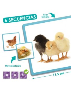 Secvente - ordine naturala