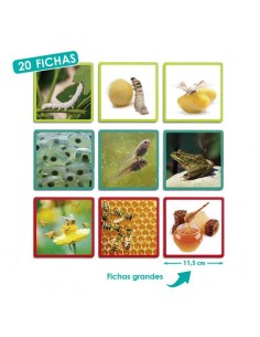 Secvente - ordine naturala 2