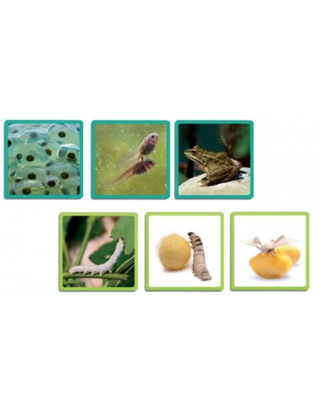 Secvente - ordine naturala Secvente - ordine naturala