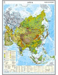 Asia. Harta economica