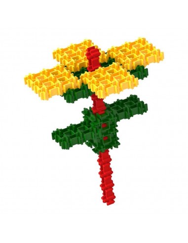 Set Mini Modele