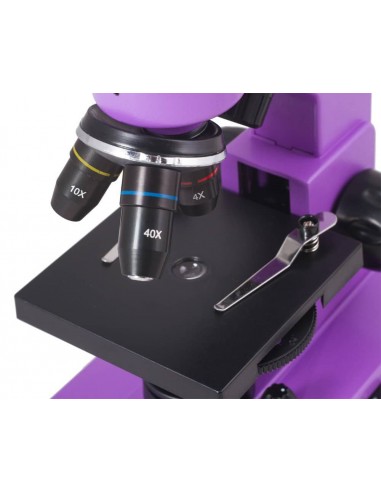 Microscop Rainbow 2L Amethyst