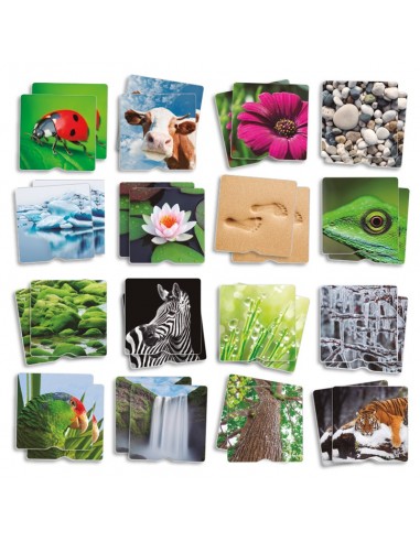 Maxi-Memory Tactil - Natura