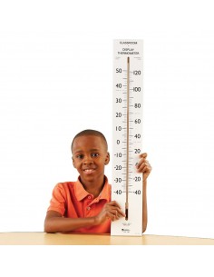 Termometru de clasa Gigant 2