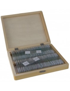 Set preparate microscopice