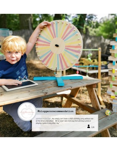 Joc Roata norocului, din lemn