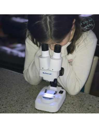 Microscop stereo WOW 50x