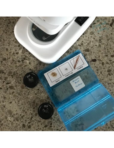 Microscop stereo WOW 50x