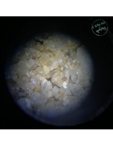 Microscop stereo WOW 50x