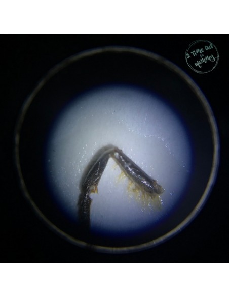 Microscop stereo WOW 50x Microscop stereo WOW 50x