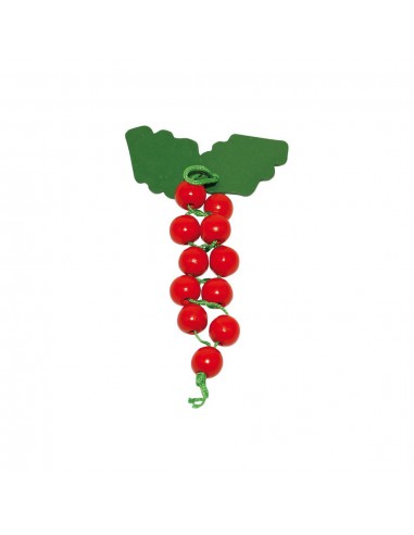 Fructe, set de 6 buc.