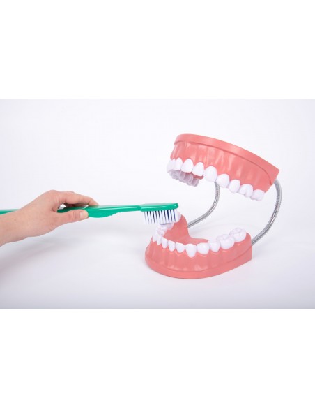 Mulaj Igiena dentara Mulaj Igiena dentara