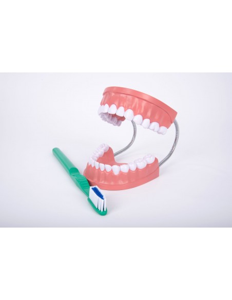 Mulaj Igiena dentara Mulaj Igiena dentara