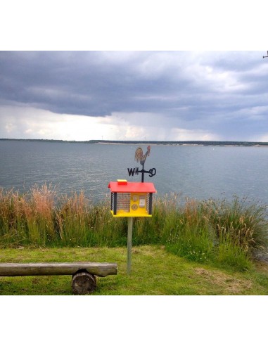 Statie meteorologica scolara