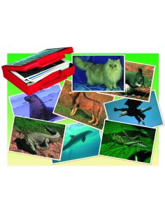 Fotografiile Animalelor 2